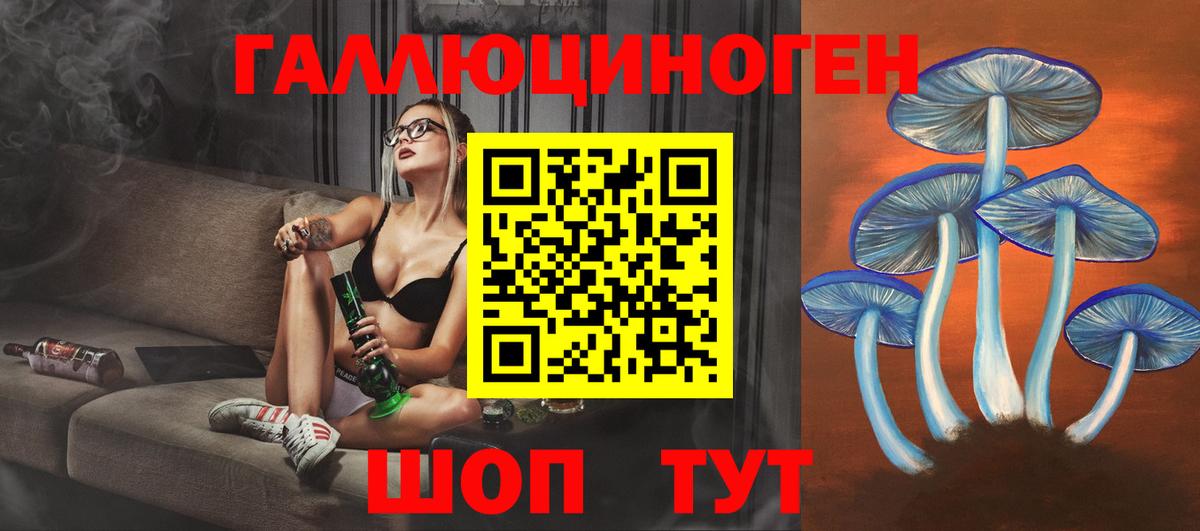 Черногорск  что такое   Вход с VPN  Галлюциногенные грибы Magic Shrooms 